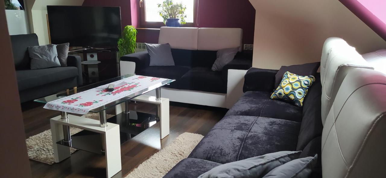 Apartament Podczerwone Czarny Dunajec Exterior photo