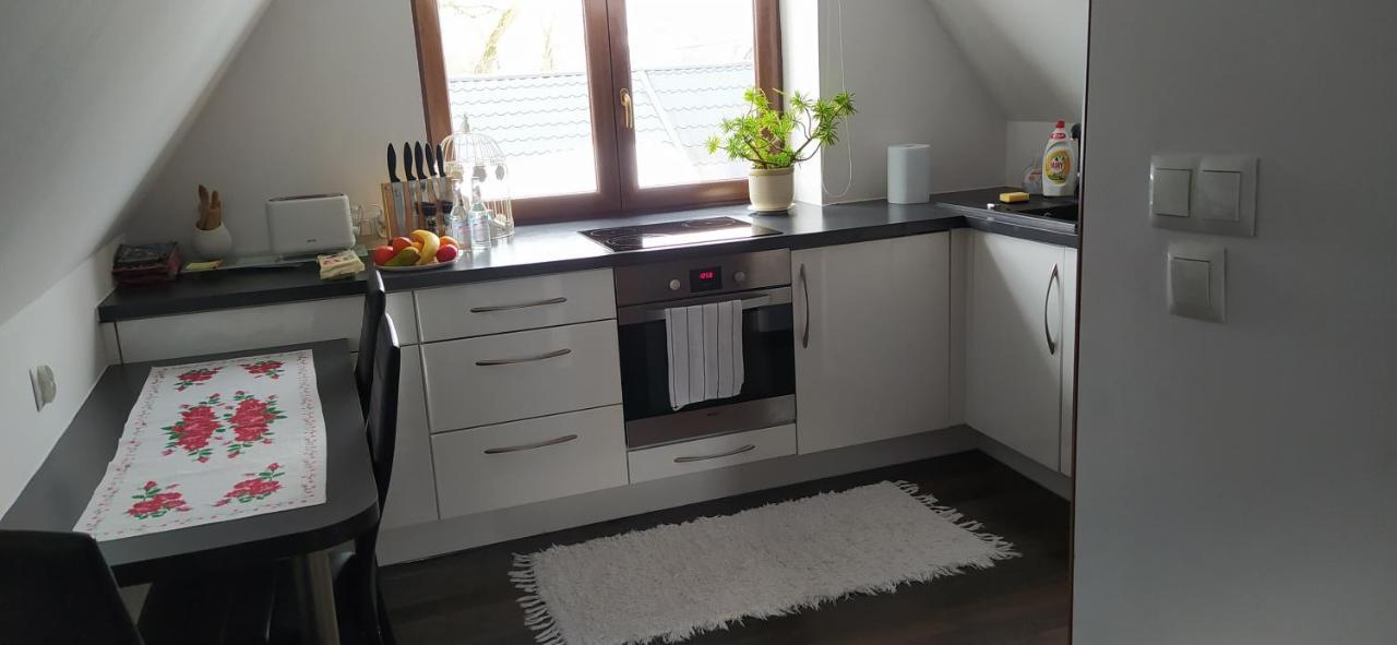 Apartament Podczerwone Czarny Dunajec Exterior photo