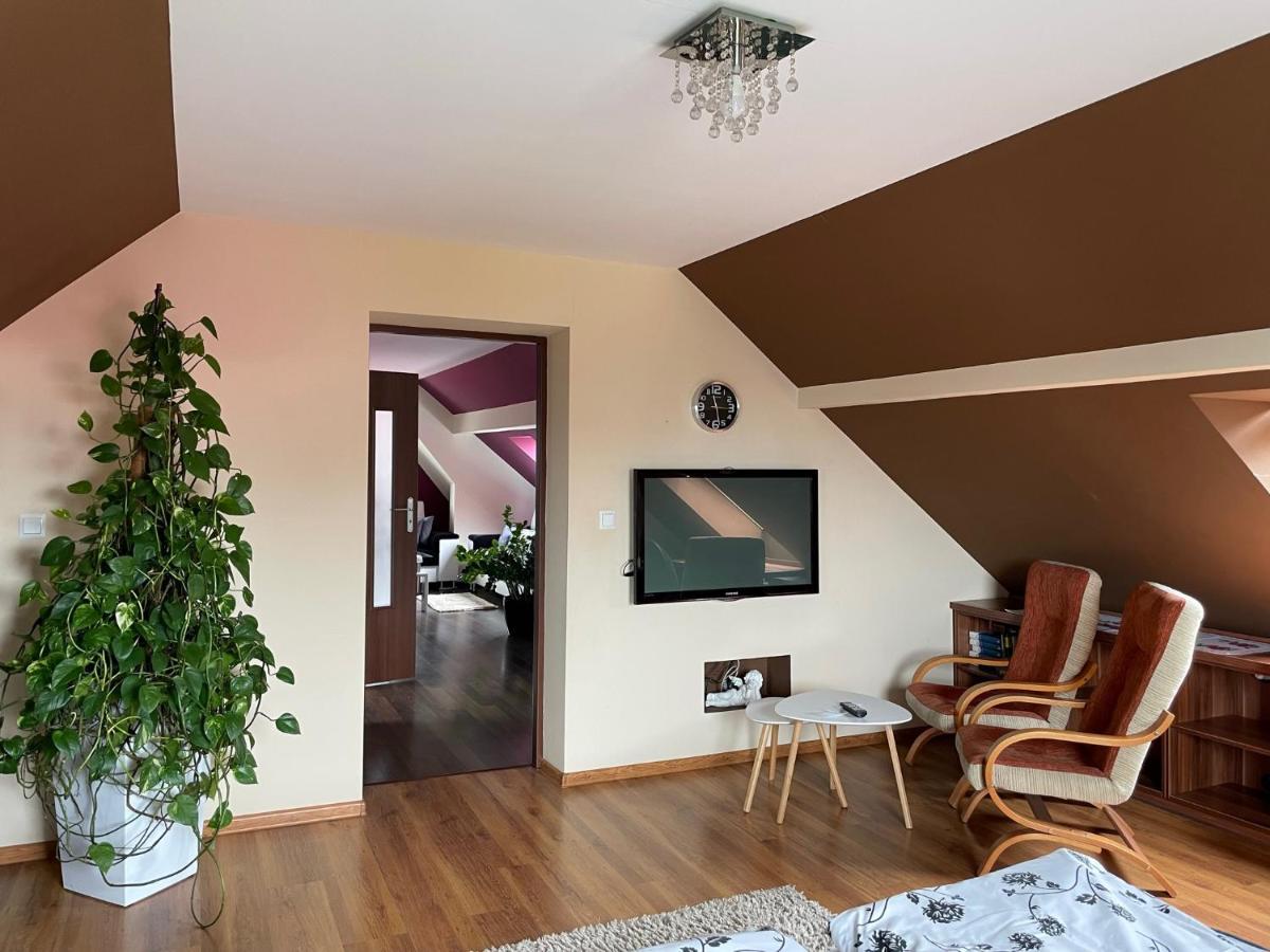 Apartament Podczerwone Czarny Dunajec Exterior photo